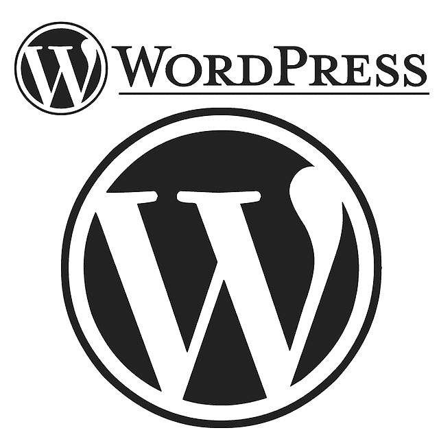 What You Need To Know About Using WordPress