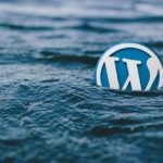 How To Maximize Your Experience While Using WordPress