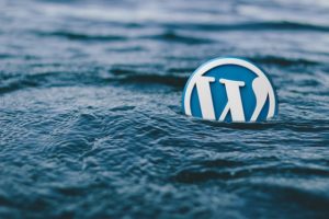 How To Maximize Your Experience While Using WordPress