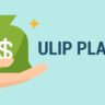 Where to Invest- Mutual Funds or ULIPs?