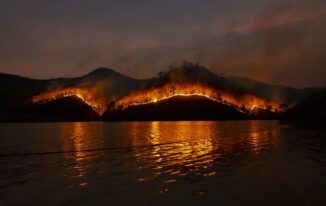 Why Are Bushfires in Australia so common?