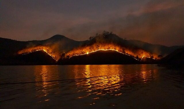 Why Are Bushfires in Australia so common?