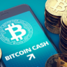 Bitcoin Cash (BCH) Price Prediction 2023 to 2030: Can BCH reach 1000USD?