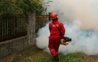 Top Qualities of an Effective Pest Control Company