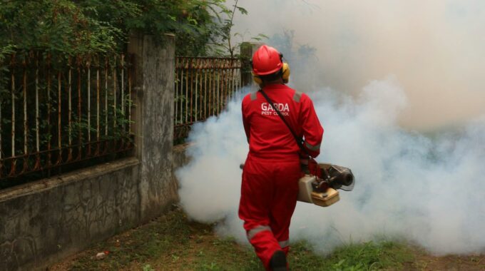 Top Qualities of an Effective Pest Control Company