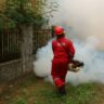 Top Qualities of an Effective Pest Control Company