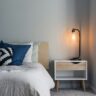 How Effective is Heat Treatment in Killing Bed Bugs?