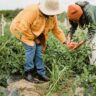 Why Ventilation Fans Are a Game-Changer for Agricultural Businesses