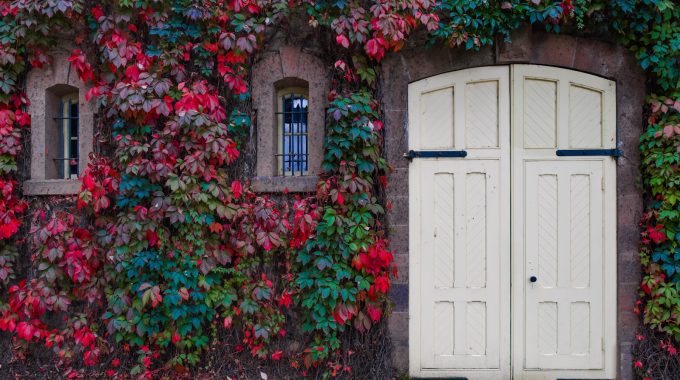 How to Upgrade Your Door Locks for Better Security