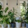 Warm and Inviting Ideas to Make Your Space Feel Like Home