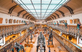 Choosing the Right Educational Program for Yourself: A Definite Guide