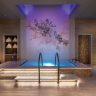 Discover the Ultimate Relaxation with Halo Spas & Pools