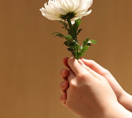 The Essential Guide to Planning a Meaningful Funeral