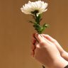 The Essential Guide to Planning a Meaningful Funeral