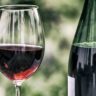 How to Choose the Right Alabama Wine for Any Occasion