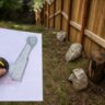 How to Plan a Safer, More Useful Outdoor Space in Loudoun County, VA